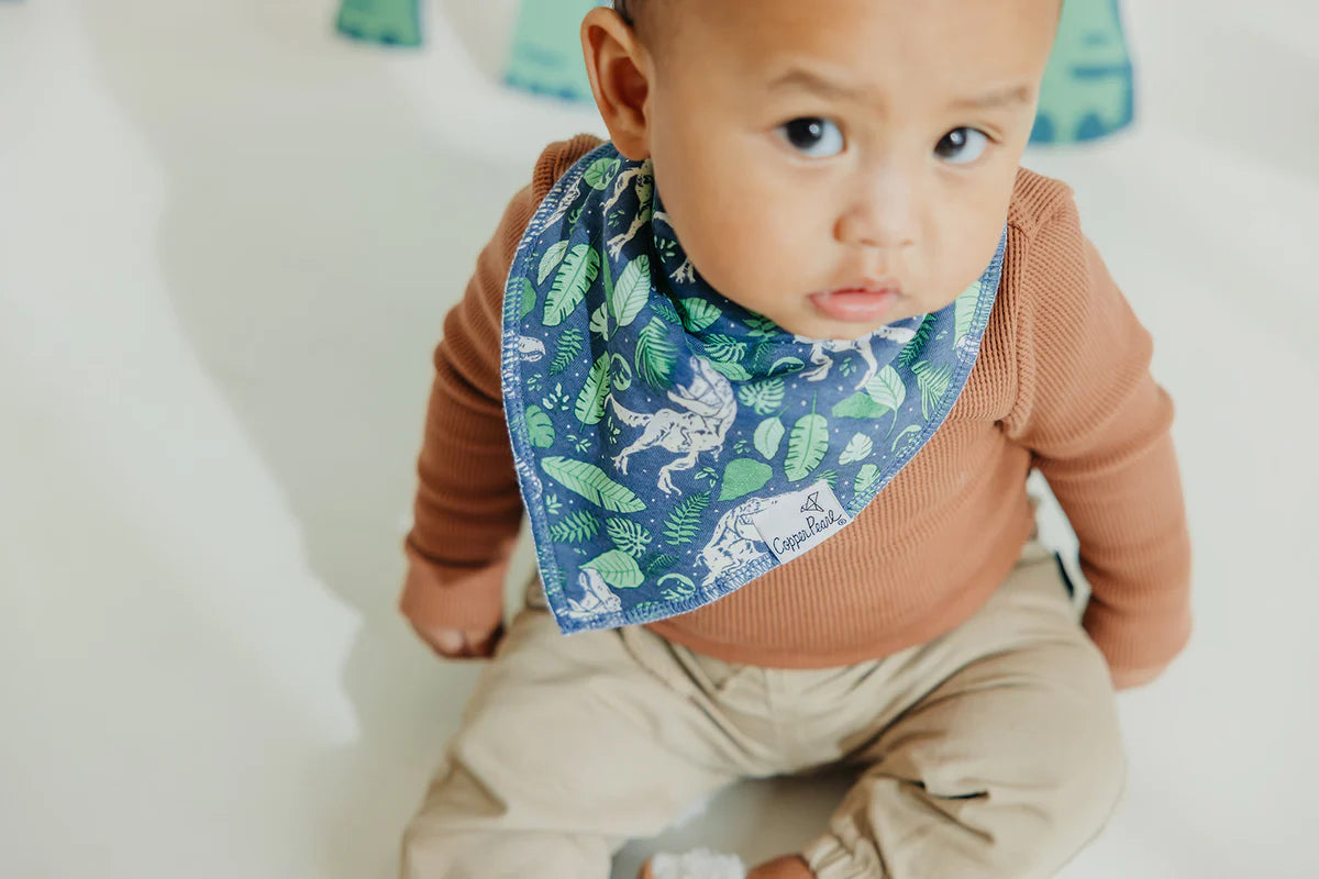 Bandana Bib Boy